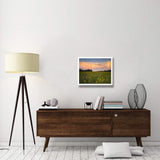 Common Sunflower Field Near Flint Hills National Wildlife Refuge, Kansas-Paper Art-26,,X22,,