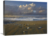Beach And Waves, Corcovado National Park, Costa Rica-Canvas Art-24X20