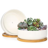 ZOUTOG 2 Pack 6 Ceramic Succulent Pots, White Planters with Drainage Tray