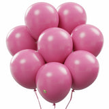 AFTERLOON Biodegradable Balloons 24 pcs Bubble Gum Pink 12 Inch, Matte Color Thickened Extra Strong Latex Helium Float, Colorful