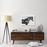 Orpheus, Arab Horse-Paper Art-34,,X26,,