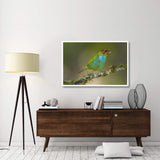 Bay-Headed Tanager, Costa Rica-Paper Art-50X34