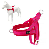 Plutus Pet No Pull Dog Harness with Breathable Mesh Padded, Adjustable Reflective Escape Proof Dog Harness, Quick Fit Dog Vest H