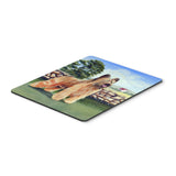 Caroline'S Treasures Mouse/Hot Pad/Trivet, Briard By The Stone Fence (7003Mp)