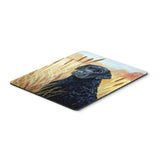 Caroline'S Treasures Mouse/Hot Pad/Trivet, Curly Coated Retriever (7097Mp)