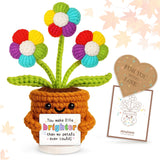penzoos Emotional Vessels - Rainbow Crochet Flower You Make Life Brighter , Handmade Thinking of You Gift for Women, Get Well