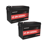 Dumfume 2 pack 12.8V 50Ah LiFePO4 Lithium Battery, Built-in 50A BMS,640Wh Capacity, 6000+ Cycles, Low-Temp Protection,Perfect fo