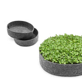 Micro Greens Growing Fabric Pots, 8 Inches Diameter X 3.5 Inches Height (Set Of 3 Pots)