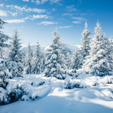 AOFOTO 10x10ft Snowy Scenery Backdrop Forest Snow Tree Photography Background Winter Snowfield Landscape Snow Covered Fir Pine T
