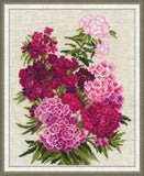 Riolis 1463 - Sweet William - Counted Cross Stitch Kit - 9.5X11.75 14 Count 14 Colors Zweigart 14Ct. Flaxen Aida