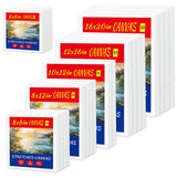 22-Pack Stretched Canvases Set- 6 Sizes 6x6 to 16x20, 10oz 100% Cotton Duck with Seed Husk, Triple Acid-Free Gesso, Reinforced P