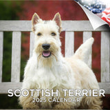 2024 2025 Scottish Terrier Calendar Dog Breed Monthly Wall Calendar 12 x 24 Open Thick NoBleed Paper Giftable Academi