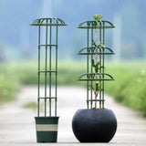 Enakshi Garden Obelisk Trellis Rust Resistant Potted Plant Support For Flowers Vines 90Cm 1 Umbrella|Gardening Supplies | Plant