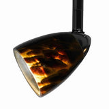 Benjara 50 Watt Track Fixture with Handblown Glass Shade, Black and Brown