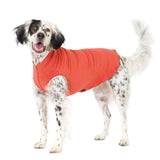 Goldpaw Stretch Fleece Dog Sweater - with Spandex for 4-Way Stretch - Soft, Comfortable Dog Coat - Machine Washable - Made in the USA - Paprika - Size 12