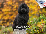 2025 2026 Cavapoo Calendar - Dog Breed Monthly Wall Calendar - 12 x 18 Open - Thick No-Bleed Paper - Giftable - Academic Teacher