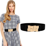 Zibuyu Stylish Waist Belts For Women, Girls Dresses Interlocking Buckle Modern Belt For Women Jeans Belts Long Dress Belts Elast