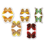 woopme Set of 5 Tropical Colorful Butterfly Magnetic Bookmark for Book Lovers Readers Students Gift Magnetic Page Clips Folding