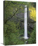 Latourell Falls, Columbia River Gorge Near Portland, Oregon-Canvas Art-18X24