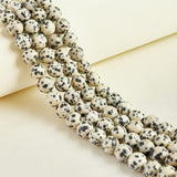 60pcs 6mm Natural Dalmatian Stone Beads Gemstone Beads Round Loose Beads for Jewelry Making