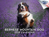 2025 2026 Bernese Mountain Dog Calendar - Dog Breed Monthly Wall Calendar - 12 x 18 Open - Thick No-Bleed Paper - Giftable - Aca