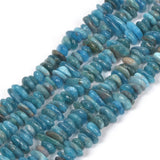 Natural Dark Apatite Freedom Chips Loose Beads 5-14mm for Jewelry Making DIY Handmade Craft 16 inch