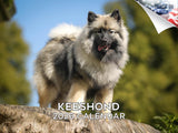2025 2026 Keeshond Calendar - Dog Breed Monthly Wall Calendar - 12 x 18 Open - Thick No-Bleed Paper - Giftable - Academic Teache