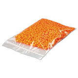 Clear Line Single Track Zipper Bag