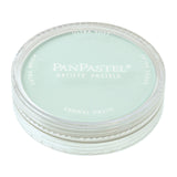 PanPastel 26208 Ultra Soft Artist Pastel, Phthalo Green Tint, 620.8