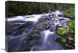 Paradise River, Mt Rainier National Park, Washington-Canvas Art-24X18