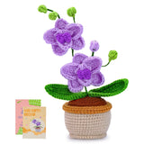 kgxulr Crochet Kit for Beginners,Butterfly Orchid Crochet Kit Beginner Crochet Starter Kit for Complete Beginners Adults, Croche