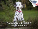 2025 2026 Dalmatian Pups Calendar - Dog Breed Monthly Wall Calendar - 12 x 18 Open - Thick No-Bleed Paper - Giftable - Academic