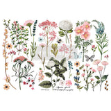 Redesign Decor Furniture Nightstand Decorartion Transfers Botanical Paradise 3 Sheets, 6x12