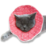 SunGrow Cat Cone Collar Soft, Pet Recovery Elizabethan E Collar Soft Neck Cone to Stop Licking for Cats & Kittens After Surgery,
