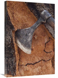 Cork Oak Bark Being Harvested For Wine Corks And Other Products, San Vicente De Alcantara, Extremadura, Spain-Canvas Art-20X30