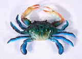 Handpainted Blue Crab Magnet