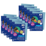 Construction Paper, Sky Blue, 9 x 12, 50 Sheets Per Pack, 10 Packs