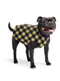 Goldpaw Stretch Fleece Dog Sweater - with Spandex for 4-Way Stretch - Soft, Comfortable Dog Coat - Machine Washable - Made in the USA - Gold Buffalo Check - Size 16