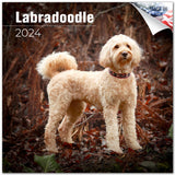 2023 2024 Labradoodle Calendar Dog Breed Monthly Wall Calendar 12 x 24 Open Thick NoBleed Paper Giftable Academic Tea