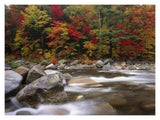 Wild River In Eastern Hardwood Forest, White Mountains National Forest, Maine-Paper Art-18,,X14,,