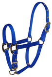 Hamilton Pet & Equine Hamilton 3/4 Nylon Adjustable Chin Horse Halter, Weanling, Blue