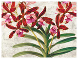 Botanique Moderne I-Paper Art-50,,X38,,