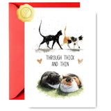 Piporani Funny Valentines Day Card for Him Her, Black Cat Lovers Happy Valentines Day Card with Envelope & Sticker (5x7 IN, 1 S