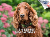 2025 2026 Irish Setter Calendar - Dog Breed Monthly Wall Calendar - 12 x 18 Open - Thick No-Bleed Paper - Giftable - Academic Te