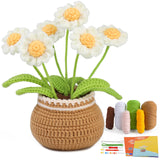kgxulr Crochet Kit for Beginners, Little Daisy Crochet Kit Beginner Crochet Starter Kit for Complete Beginners Adults, Crochetin