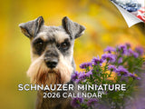 2025 2026 Miniature Schnauzer Calendar - Dog Breed Monthly Wall Calendar - 12 x 18 Open - Thick No-Bleed Paper - Giftable - Acad