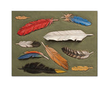 Tandy Leather Feathers Craftaid? 7663100