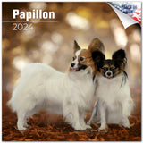 2023 2024 Papillon Calendar Dog Breed Monthly Wall Calendar 12 x 24 Open Thick NoBleed Paper Giftable Academic Teache