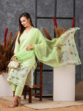 Anni Designer Women'S Cotton Blend Straight Printed Kurta With Pant & Dupatta (Gosala Pista-Nw_Xxl_Pista_Xx-Large),Pista,2XL,,,