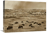 American Bison Herd Grazing On Shortgrass Prairie, Theodore Roosevelt National Park, North Dakota-Canvas Art-24X18